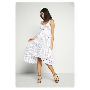 Banana Republic Print Sweetheart Pleated Midi Dress